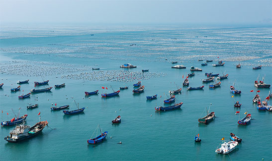 海洋经济专题研究